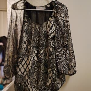 Chic Black and Cream Sheer Blouse